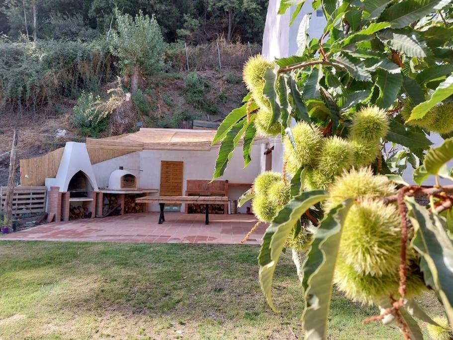 Casa Barranco Villa Juzcar Luaran gambar
