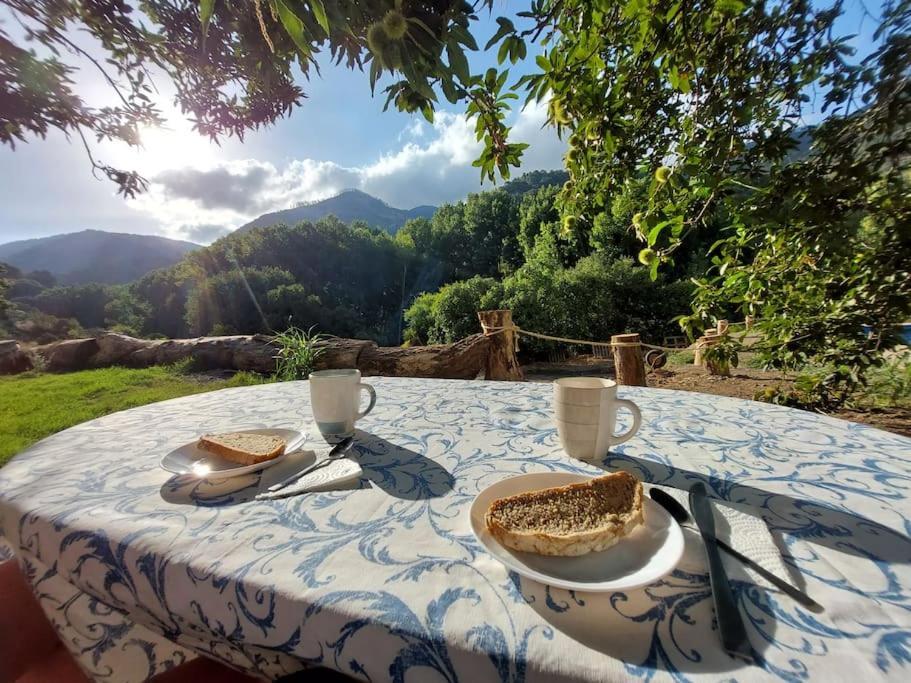 Casa Barranco Villa Juzcar Luaran gambar